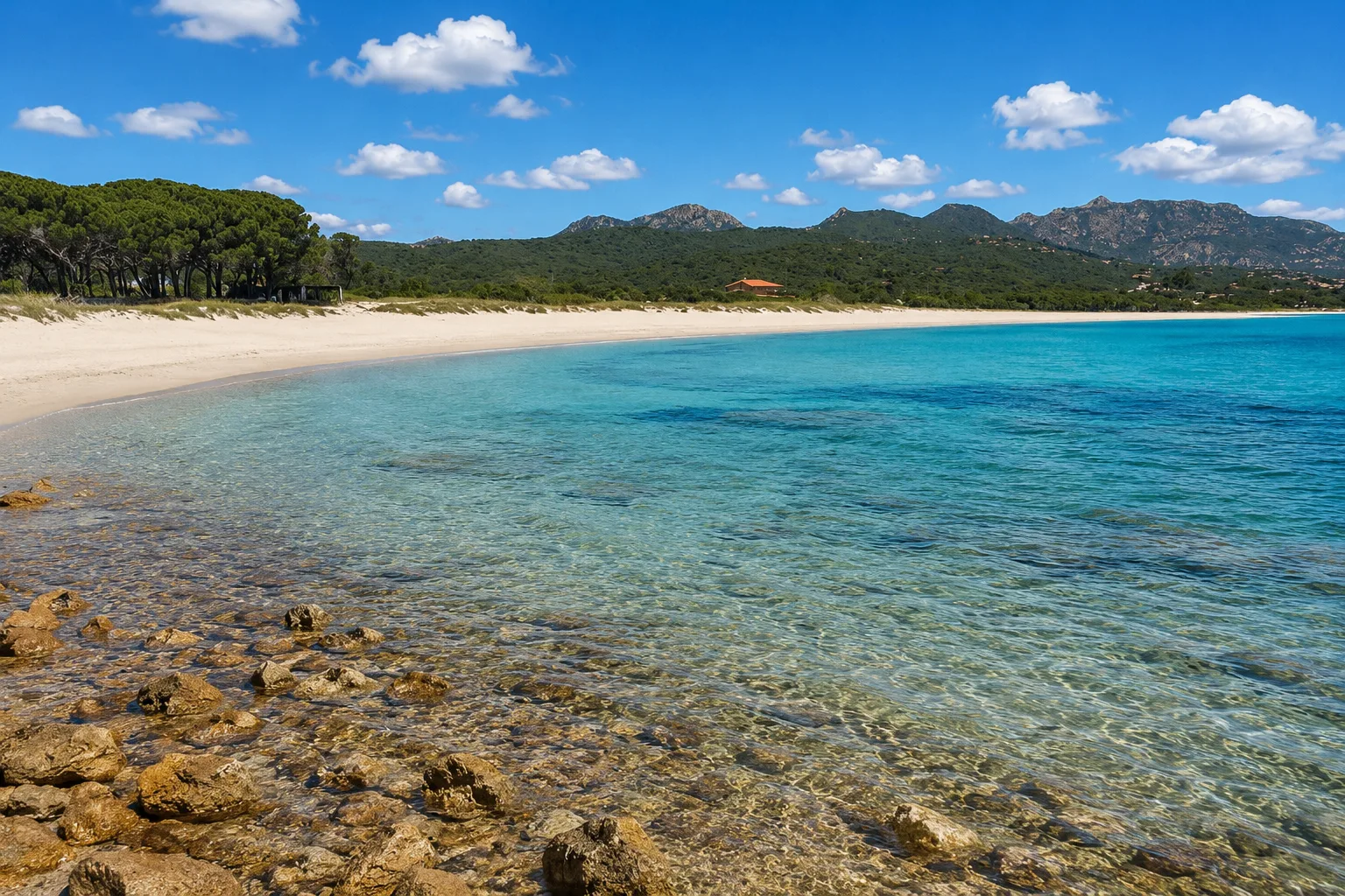 Pittulongu, Olbia — baia con sabbia chiara, acqua cristallina e colline verdi sullo sfondo