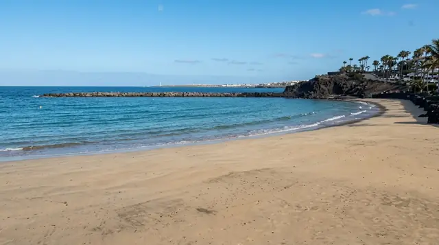 Flamingo — Lanzarote