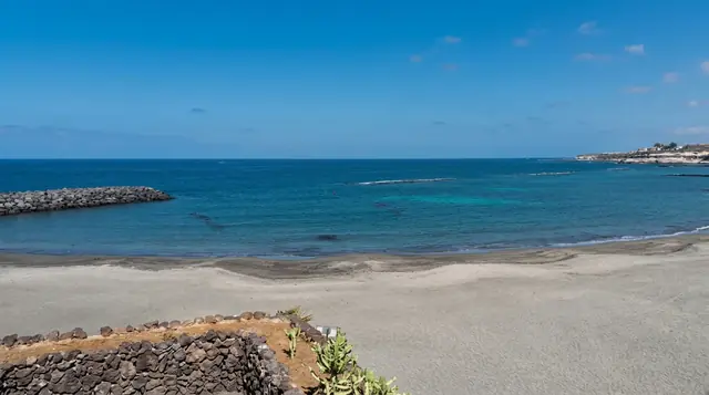 Torviscas — Tenerife