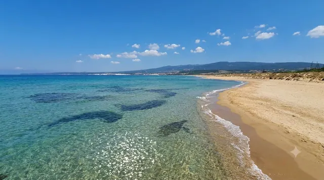 Is Arenas, Narbolia — spiaggia di sabbia dorata con acqua cristallina e macchie di posidonia sul fondale, dune e pineta sullo sfondo