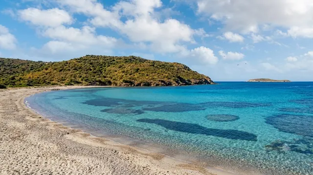 Poltu Paddha, Arzachena — cala riparata con sabbia chiara, acqua turchese e profilo collinare mediterraneo