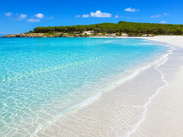 Spiaggia di Budoni — sabbia bianca, acqua trasparente e pineta sullo sfondo